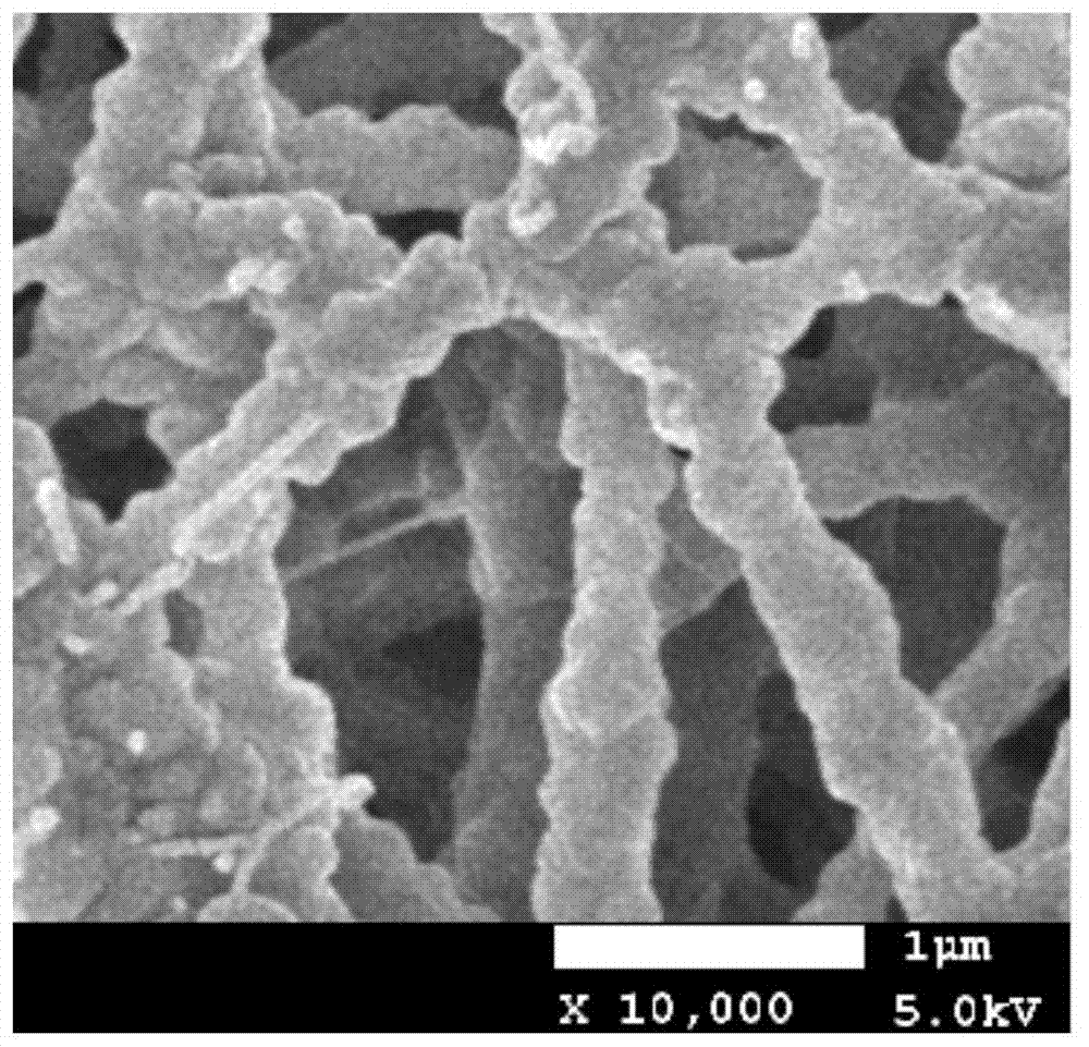 A kind of preparation method of superhydrophobic polytetrafluoroethylene fiber membrane