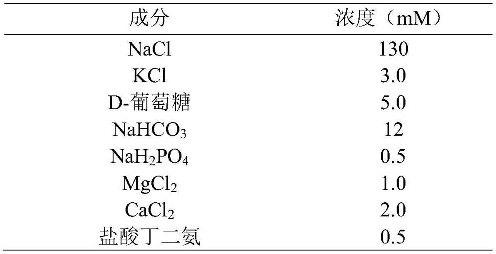 Serum-free culture system and application thereof in cultured meat