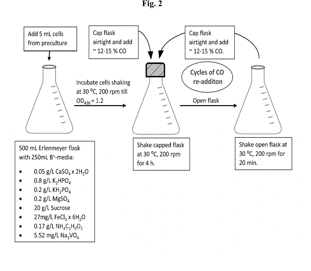 Compositions and methods for the production of hydrocarbons, hydrogen and carbon monoxide using engineered azotobacter strains