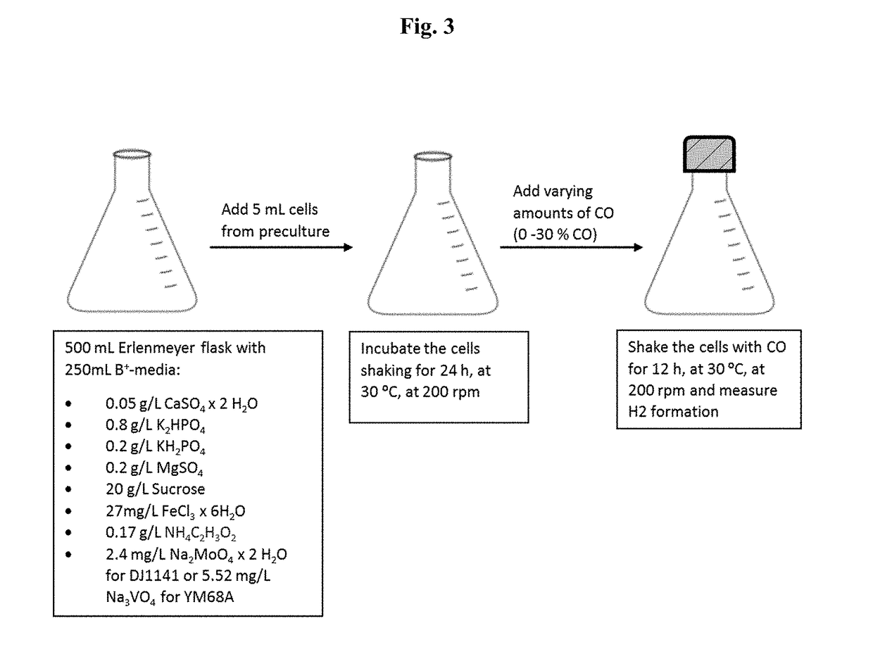 Compositions and methods for the production of hydrocarbons, hydrogen and carbon monoxide using engineered azotobacter strains