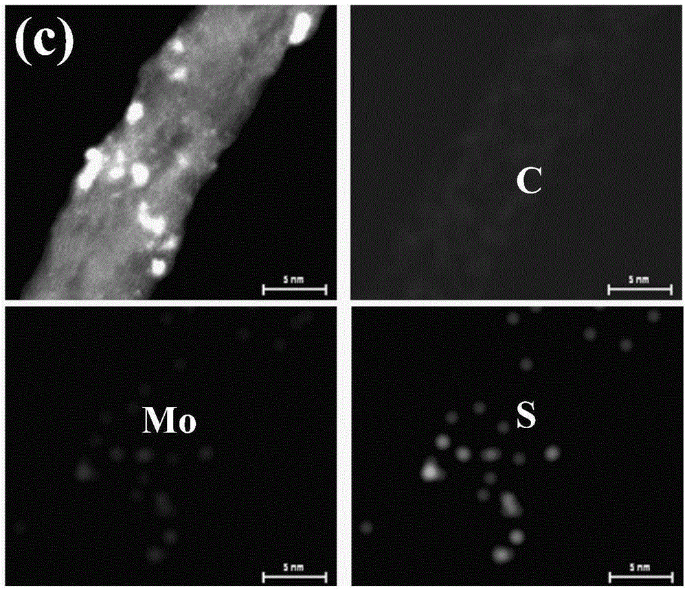 Electrodeposition preparation method of carbon nanotube/transition metal compound composite material