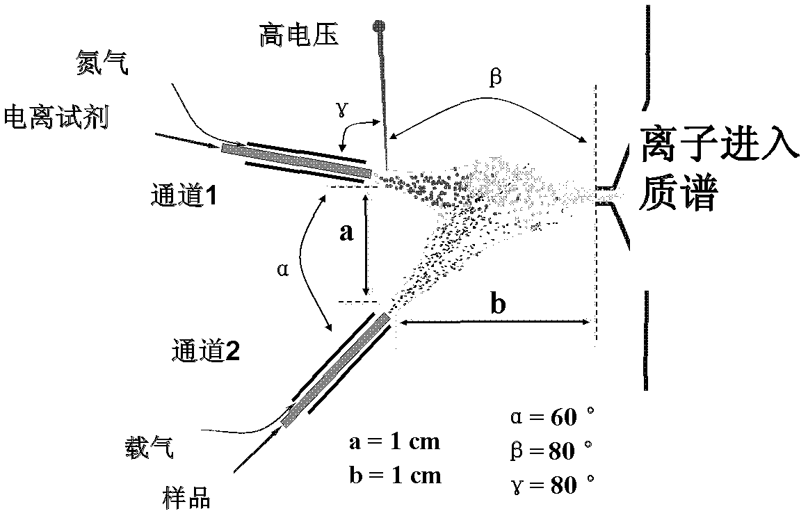 Atmospheric pressure chemical extraction ionization source and atmospheric pressure chemical extraction ionization mass spectrometry analysis method