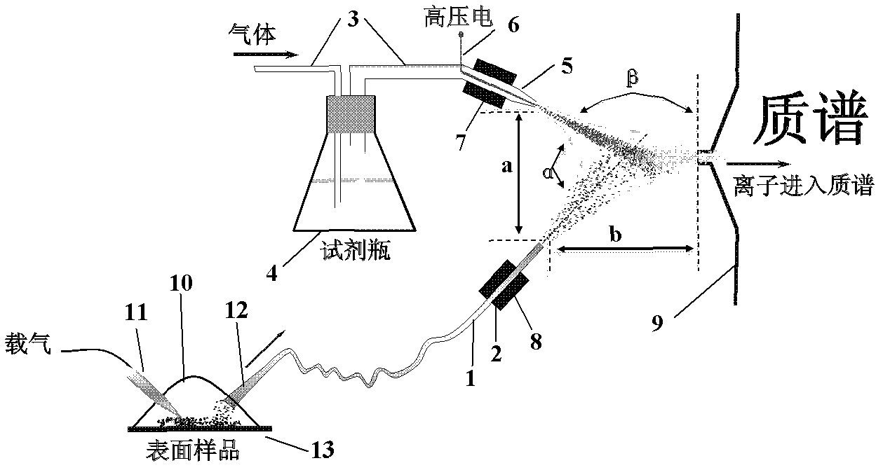 Atmospheric pressure chemical extraction ionization source and atmospheric pressure chemical extraction ionization mass spectrometry analysis method