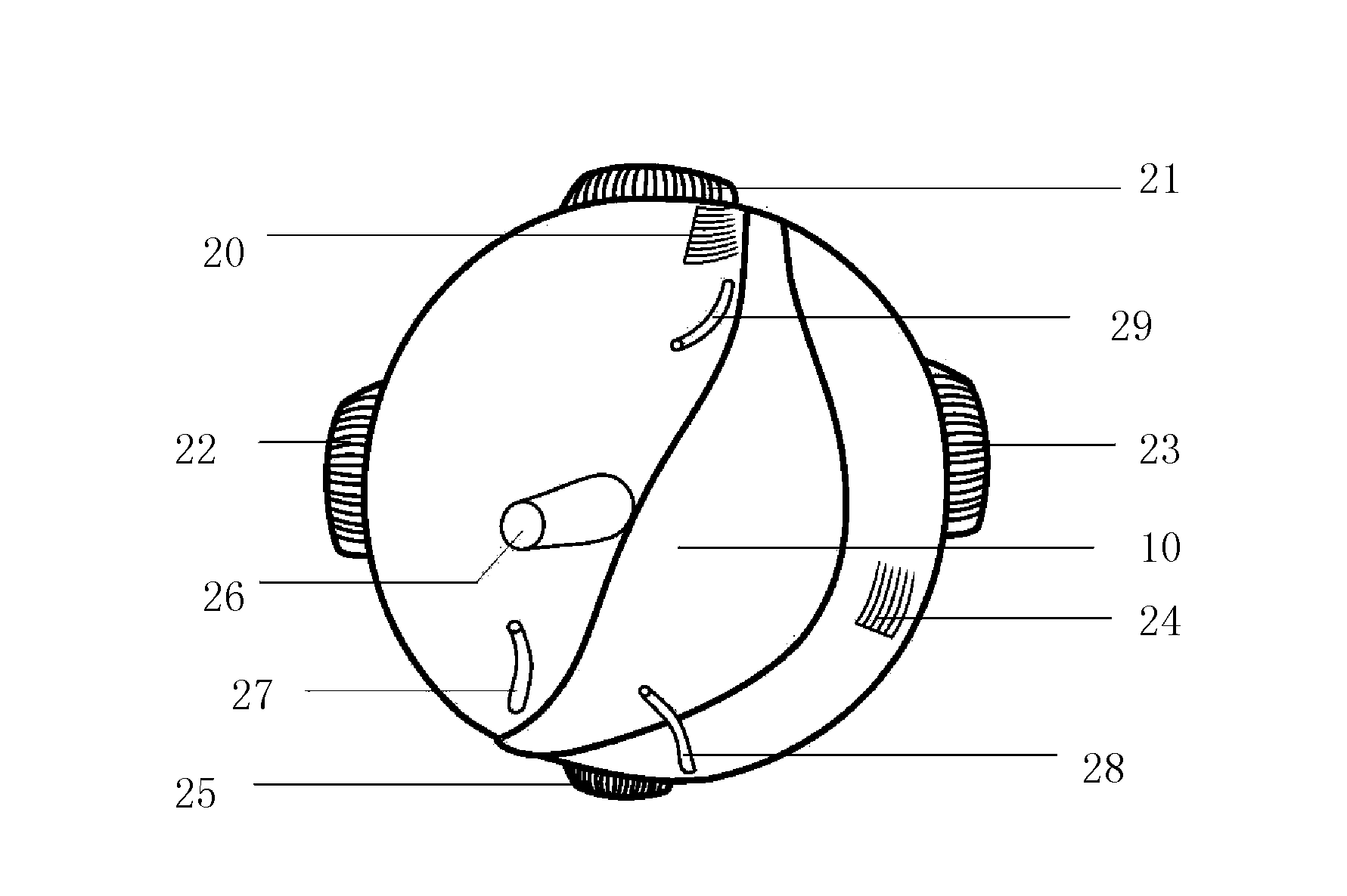 Biomembrane material strip belt for high-myopia posterior scleral reinforcement surgery and manufacture method thereof