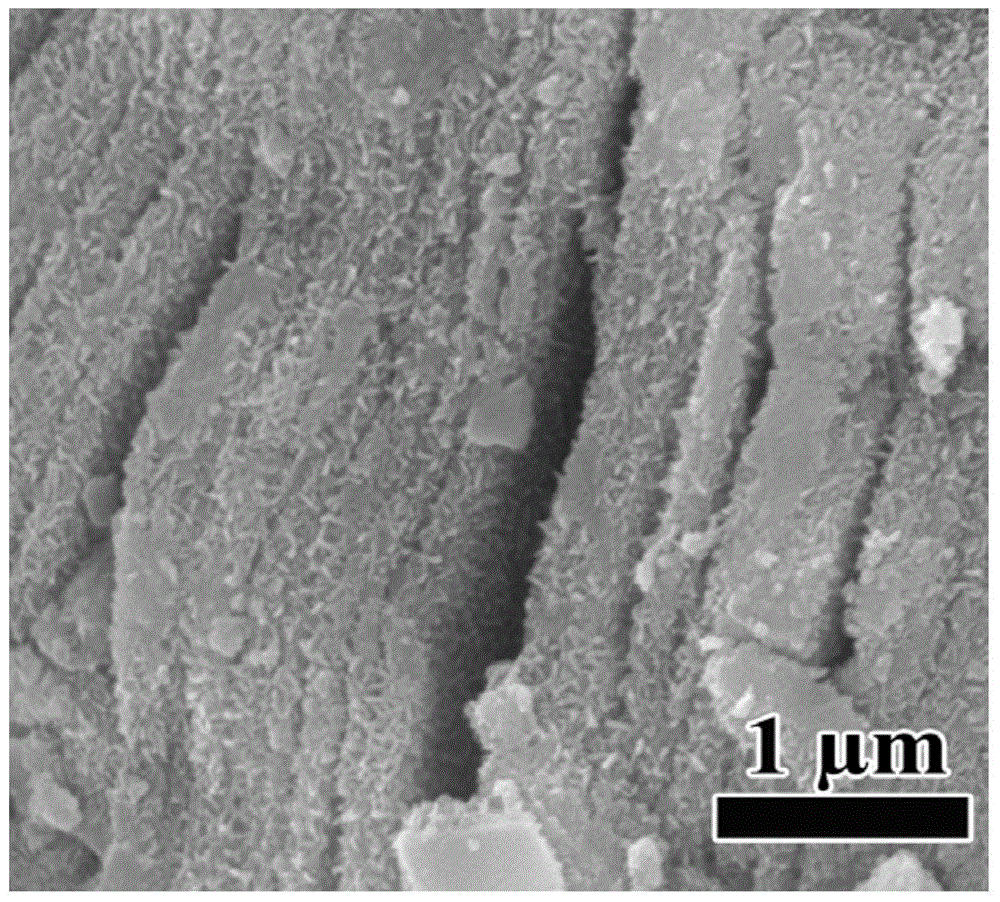 Two-dimensional layered titanium carbide/metal ion composite material and application thereof