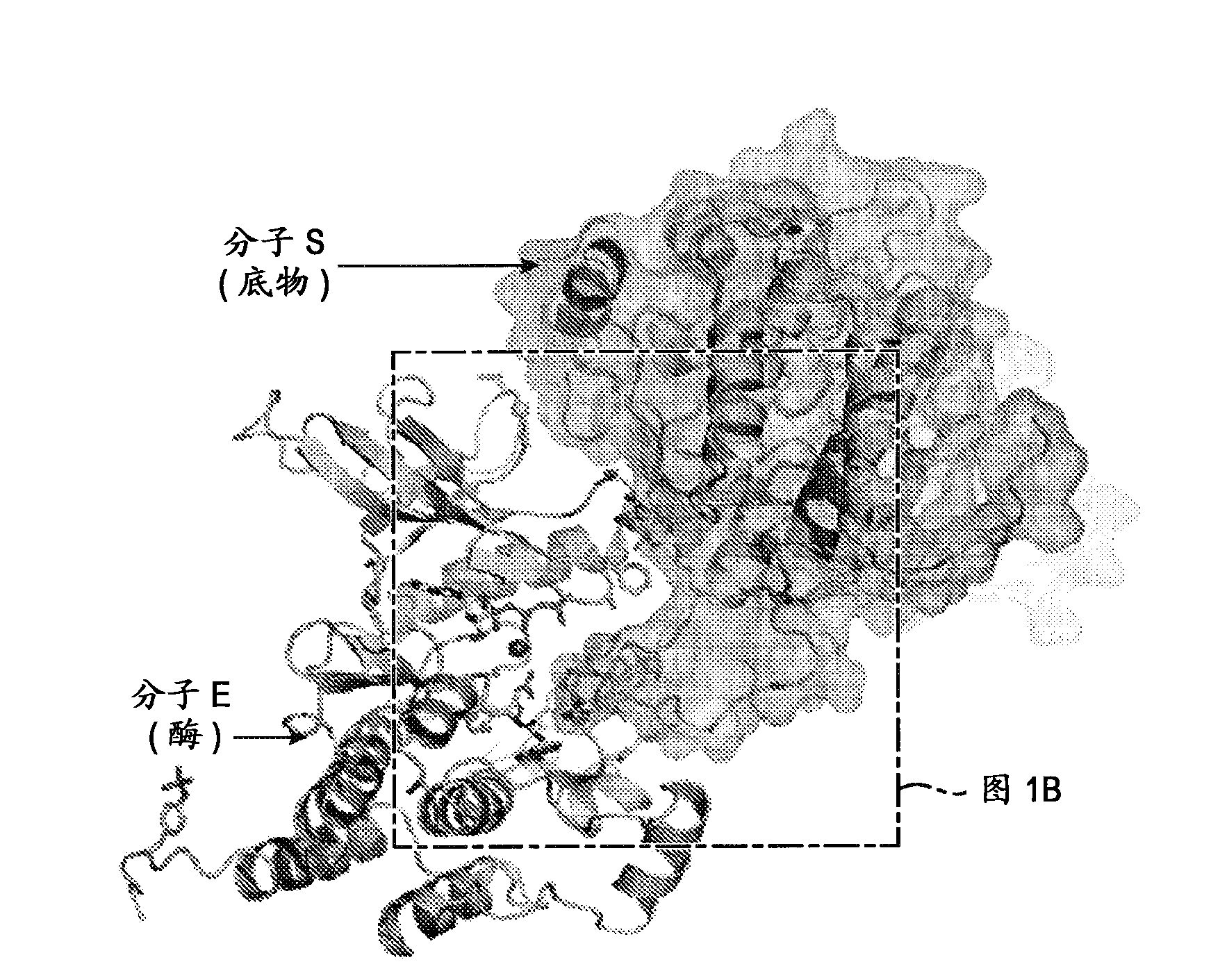 Inhibitors of receptor tyrosine kinases (rtk) and methods of use thereof