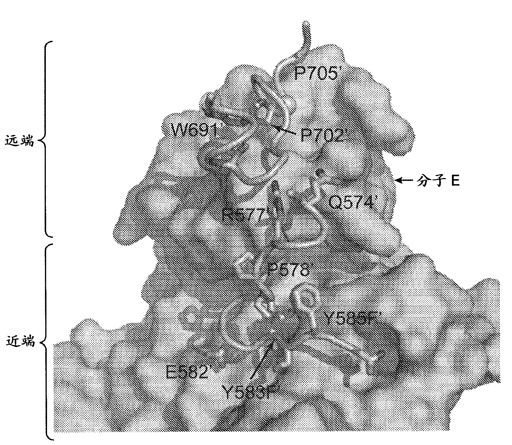 Inhibitors of receptor tyrosine kinases (rtk) and methods of use thereof