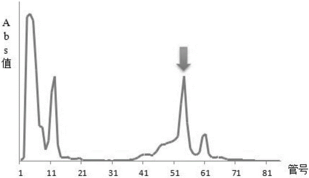 Cobra venom nerve growth factor purification and preparation method