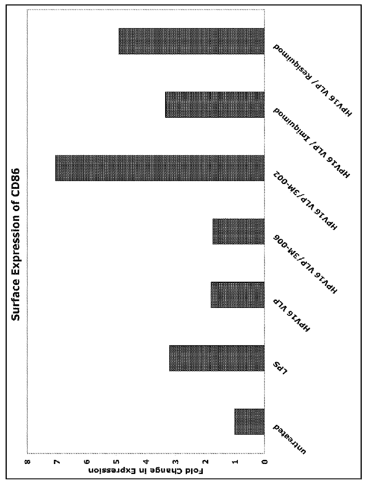 Method of immunotherapy for treament of human papillomavirus infection