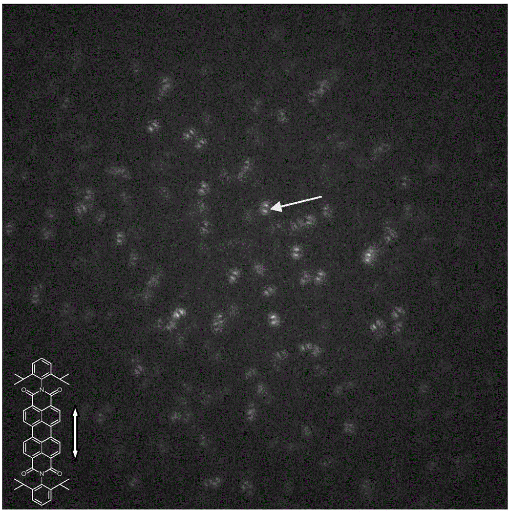 Method for analyzing relaxation behaviors of polymer chain section at glassy state