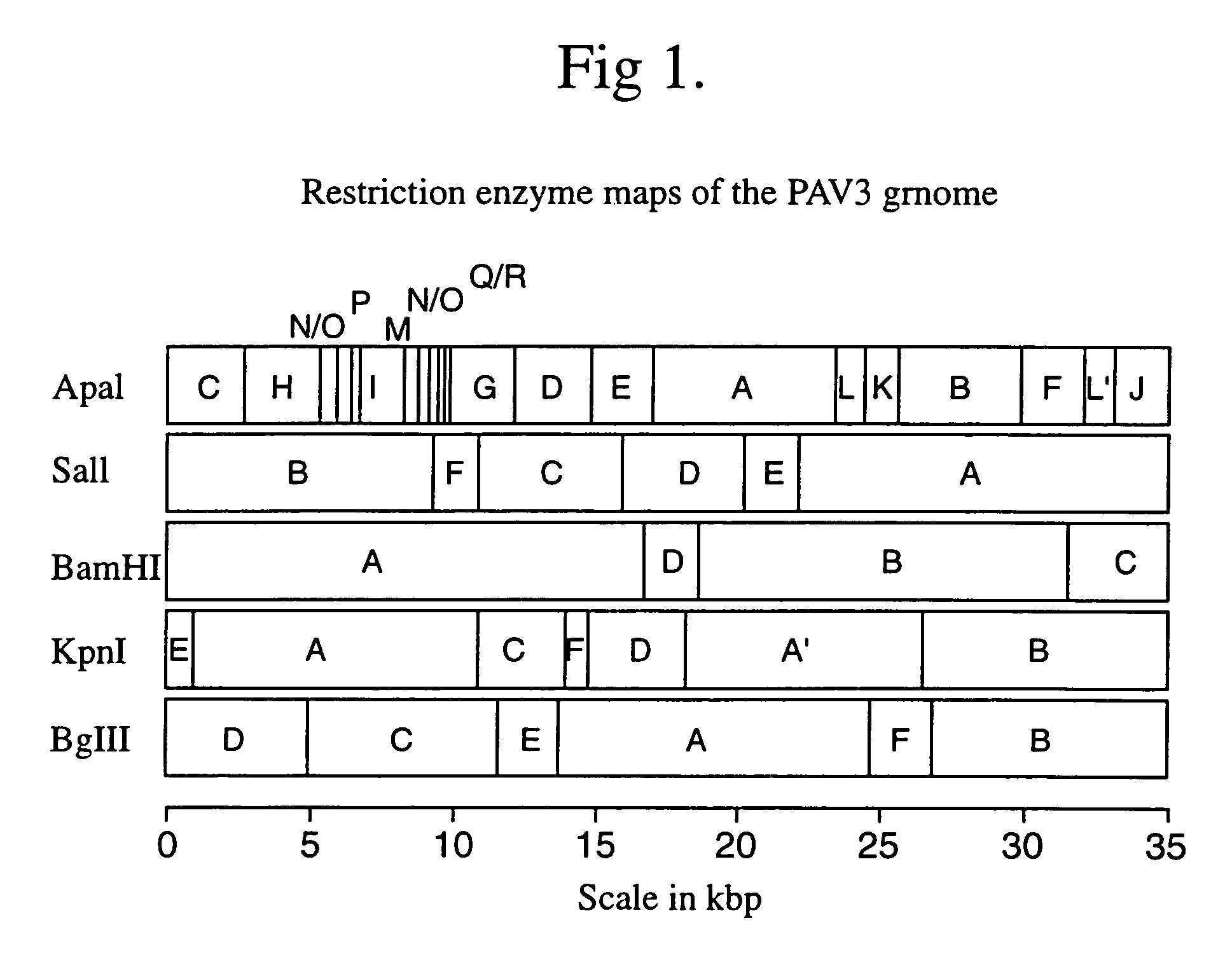 Recombinant porcine adenovirus vector