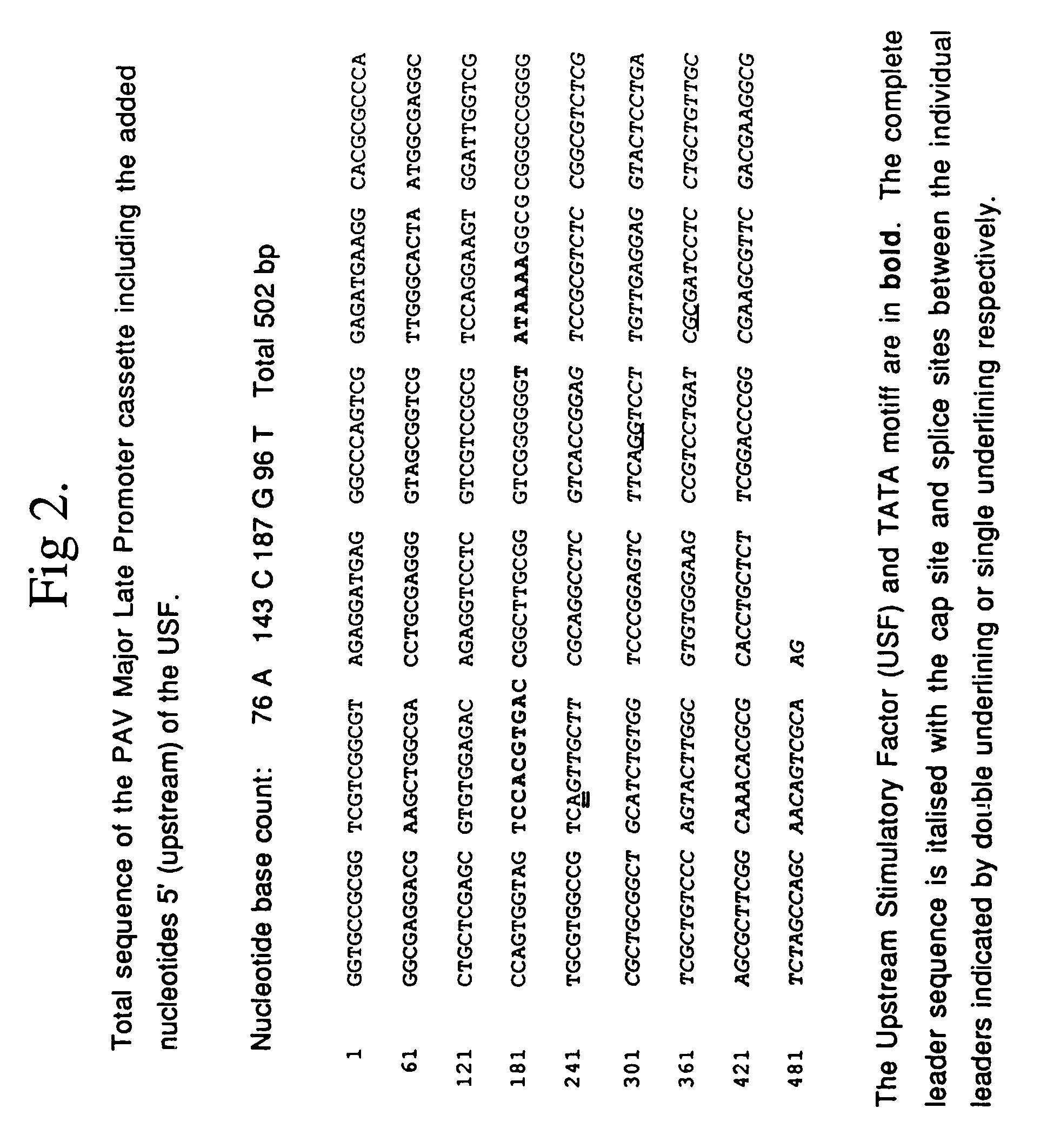 Recombinant porcine adenovirus vector