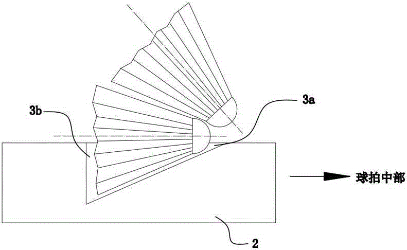 A badminton court training ball pick-up device and method for picking up shuttlecocks