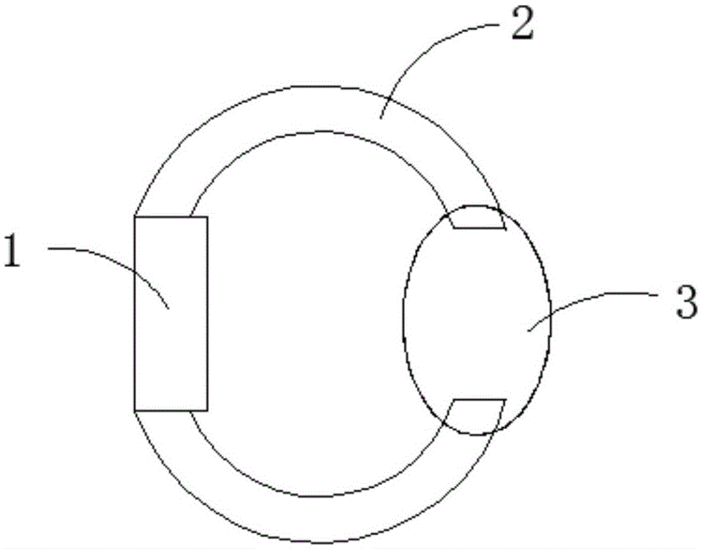 Anti-disassembling intelligent wearable type device, system and method