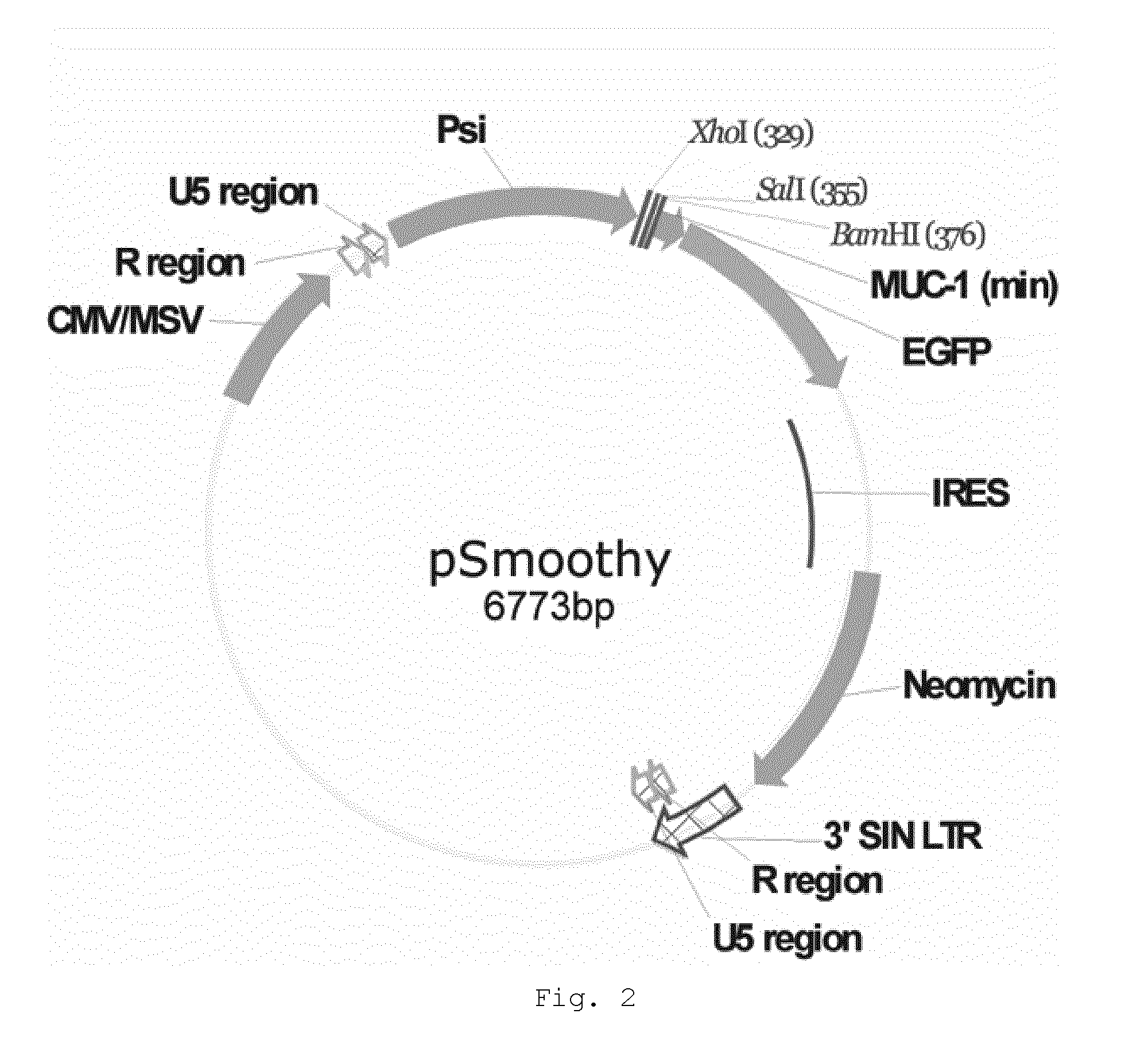 Method for the construction of specific promoters