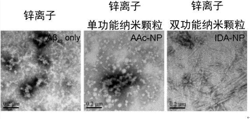 Preparation method of difunctional copolymerized nanoparticle inhibitor and application thereof in inhibition and detoxification of amyloid beta protein aggregation