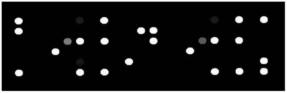 Quick high-flux dengue fever virus detection typing method