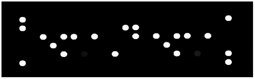 Quick high-flux dengue fever virus detection typing method