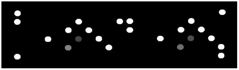 Quick high-flux dengue fever virus detection typing method