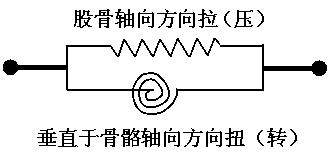 Design method and system for constructing rapid parametric model of passenger's legs