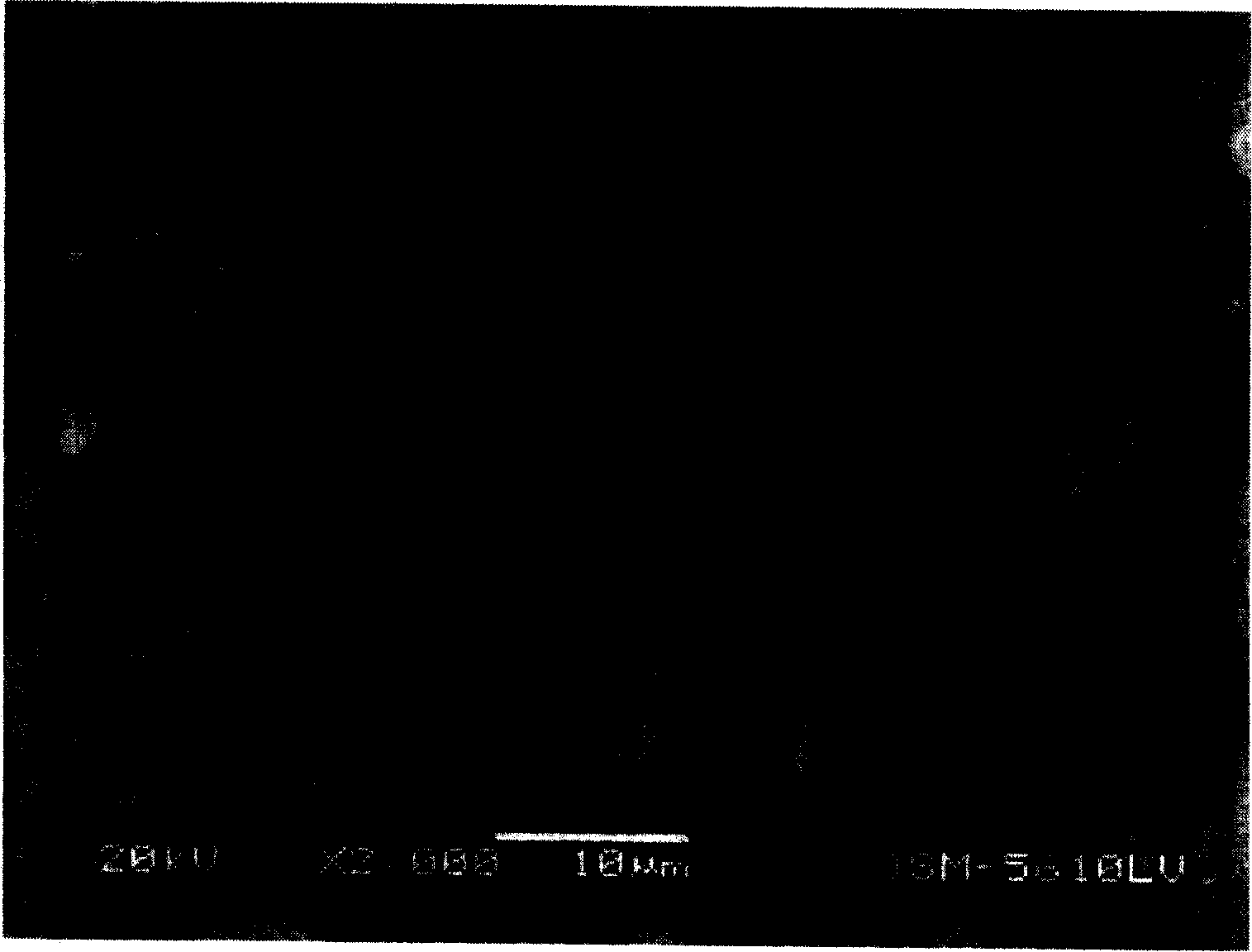 Silicon-containing composite material and its preparation method and application