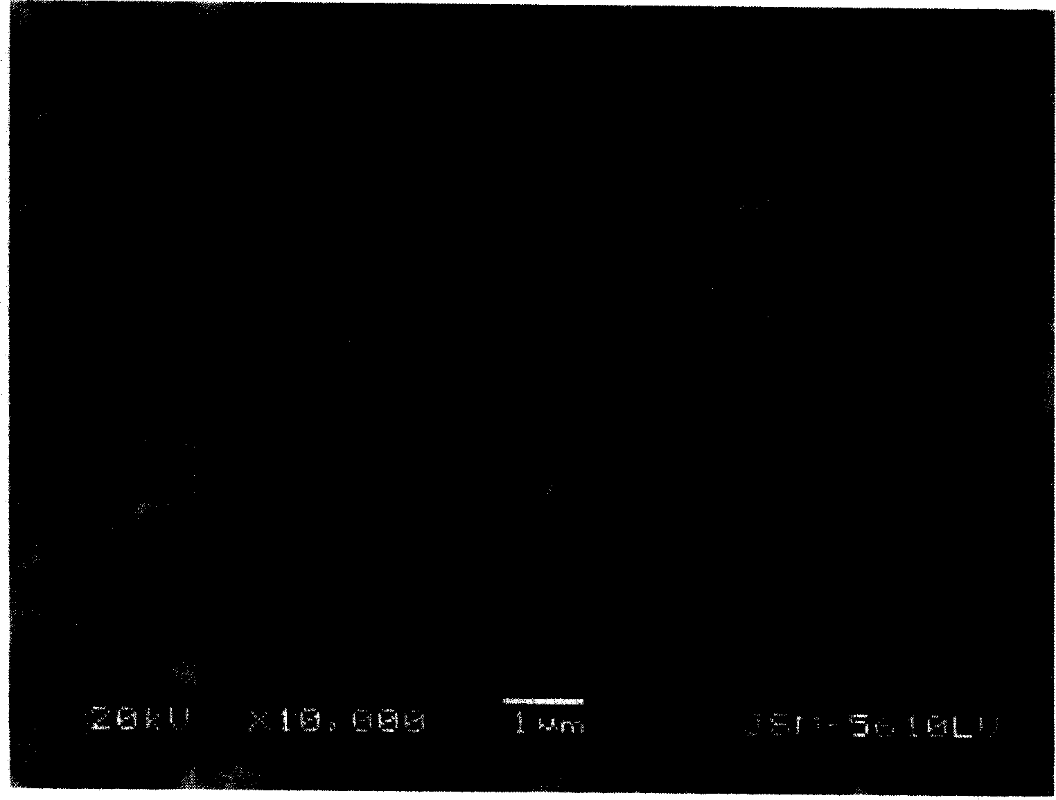 Silicon-containing composite material and its preparation method and application