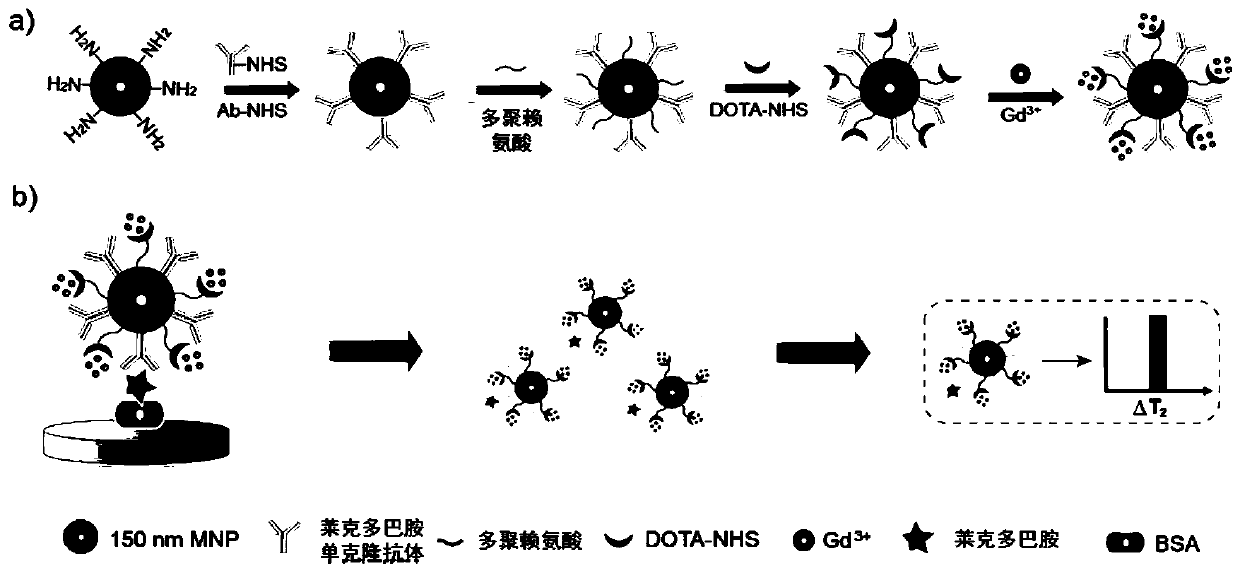 Magnetic signal probe of magnetic relaxation time immunosensor and application of magnetic signal probe