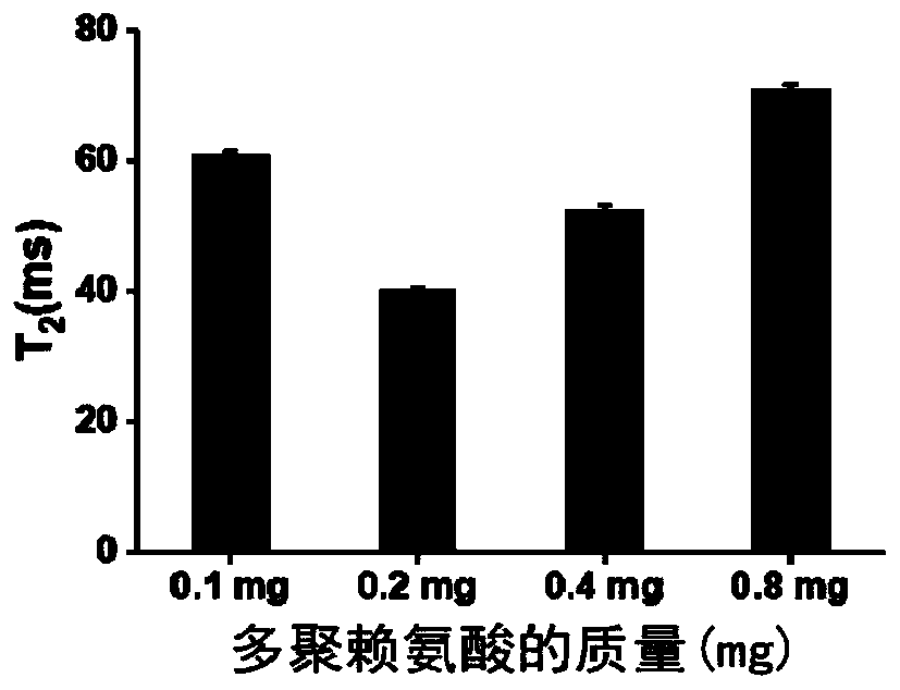 Magnetic signal probe of magnetic relaxation time immunosensor and application of magnetic signal probe