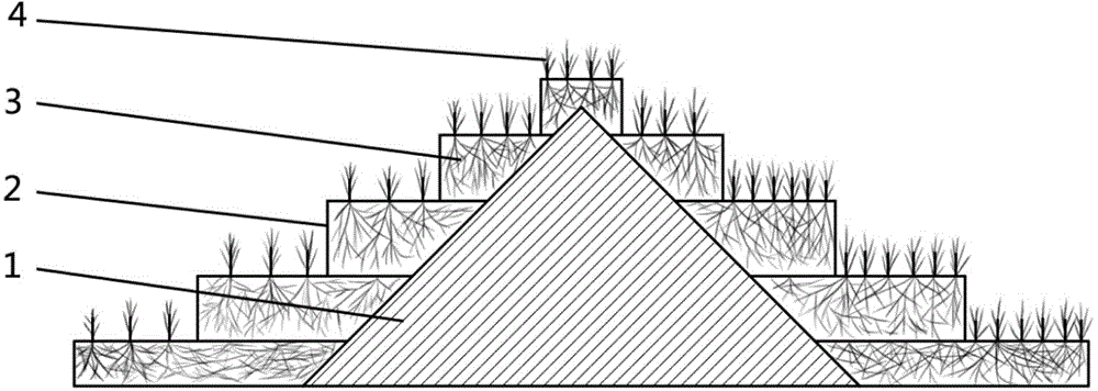 Method for treating solid mining and metallurgical waste by using photosynthetic bamboo