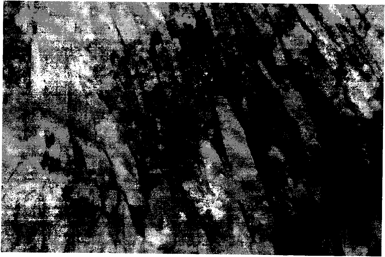 Ultrafine crystal bainite high-strength steel and manufacturing method thereof