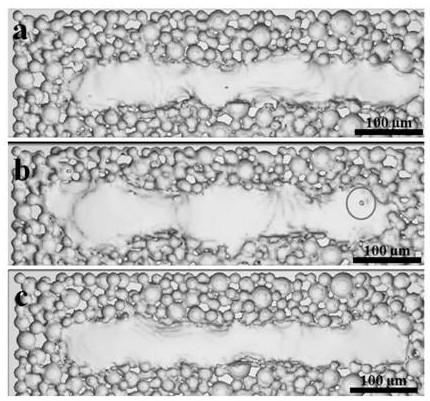 Numerical simulation method for predicting selective laser melting single-melt-channel forming defect