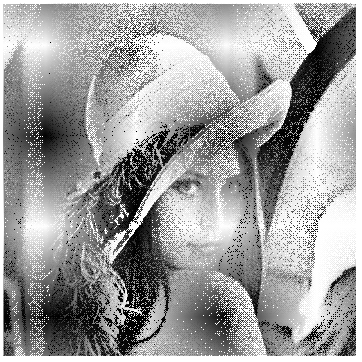 Nonlocal mean denoising method based on joint similarity