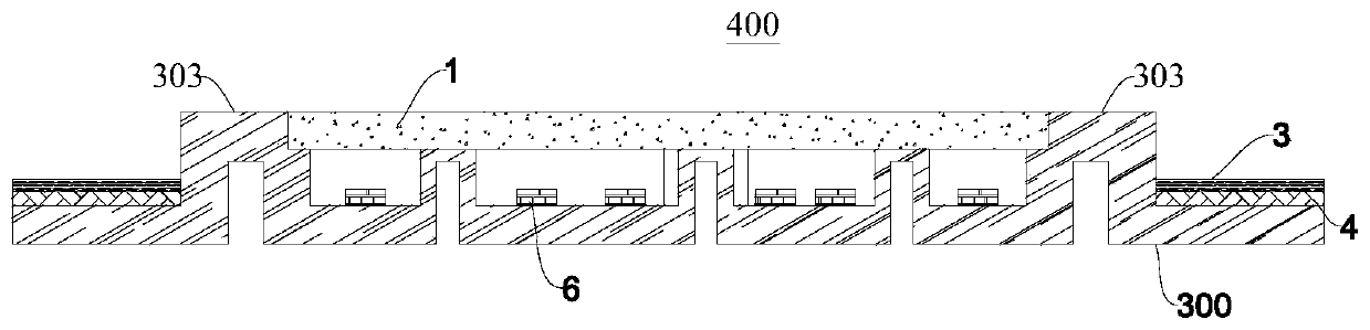 Carrier and light-emitting device