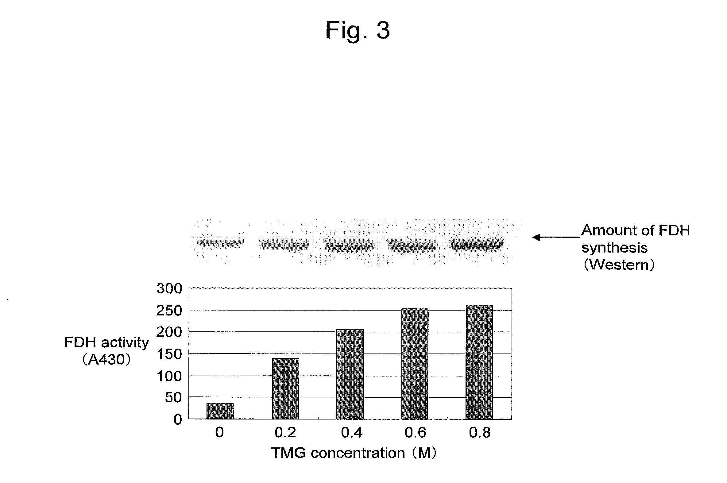 Solution for cell-free protein synthesis, kit for cell-free protein synthesis, and method of protein synthesis