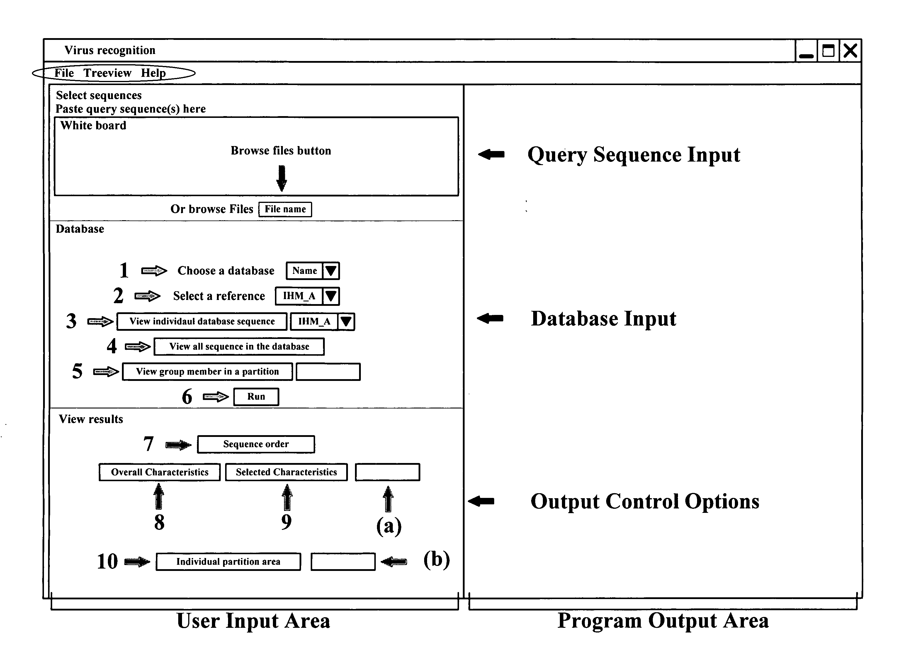 Application package to automatically identify some single stranded RNA viruses from characteristic residues of capsid protein or nucleotide sequences