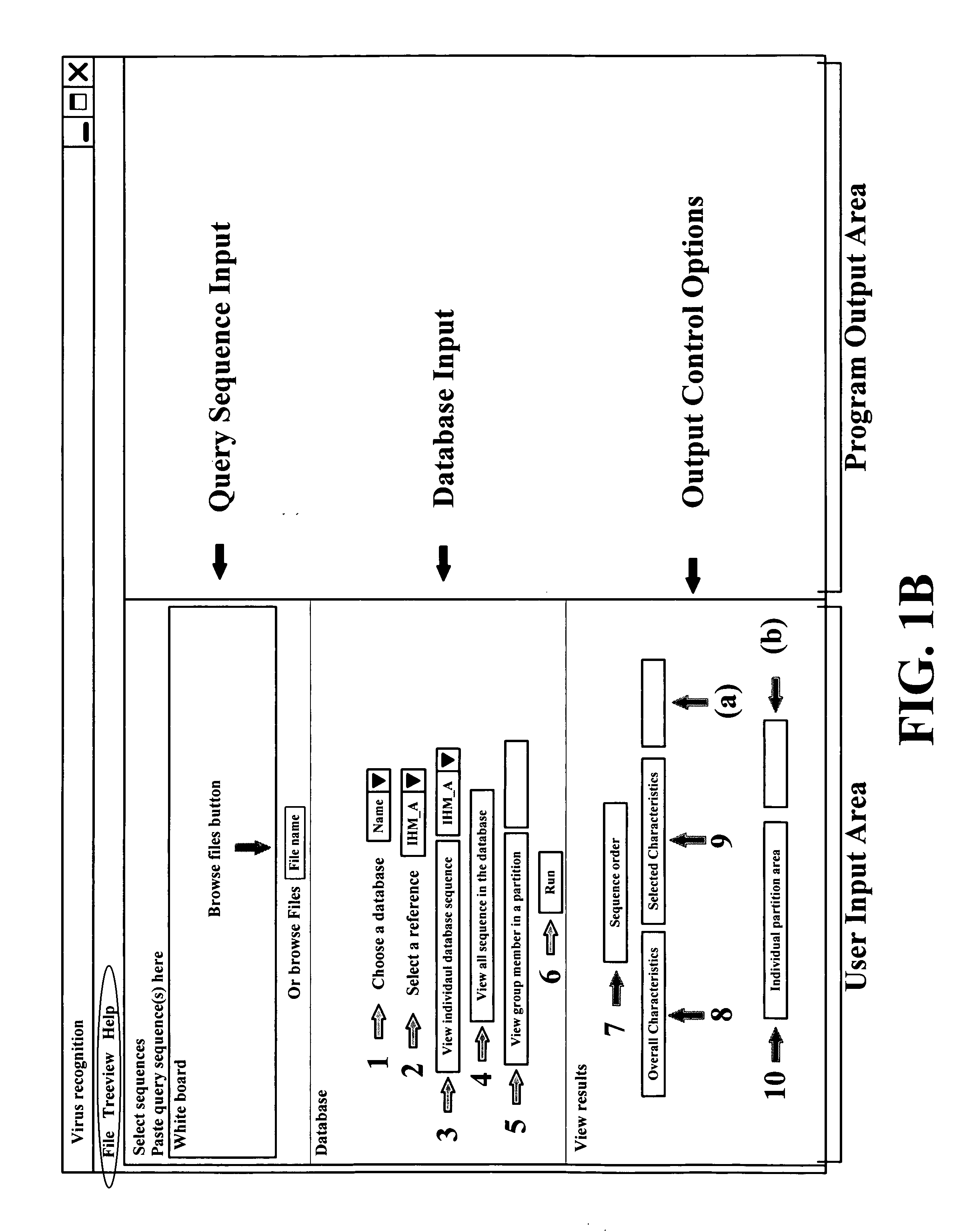 Application package to automatically identify some single stranded RNA viruses from characteristic residues of capsid protein or nucleotide sequences