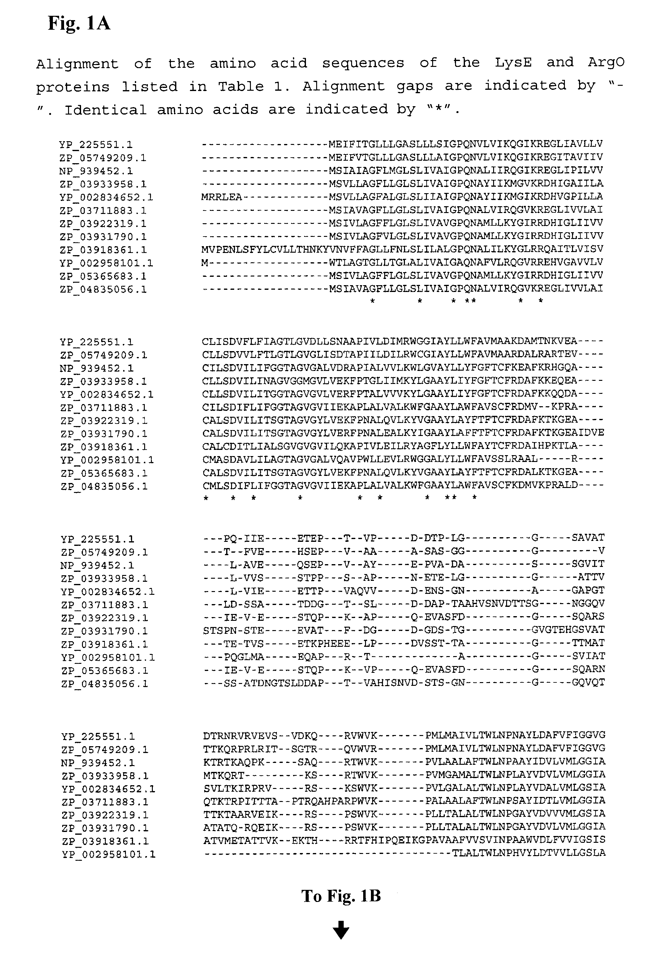 Process for the fermentative preparation of L-ornithine