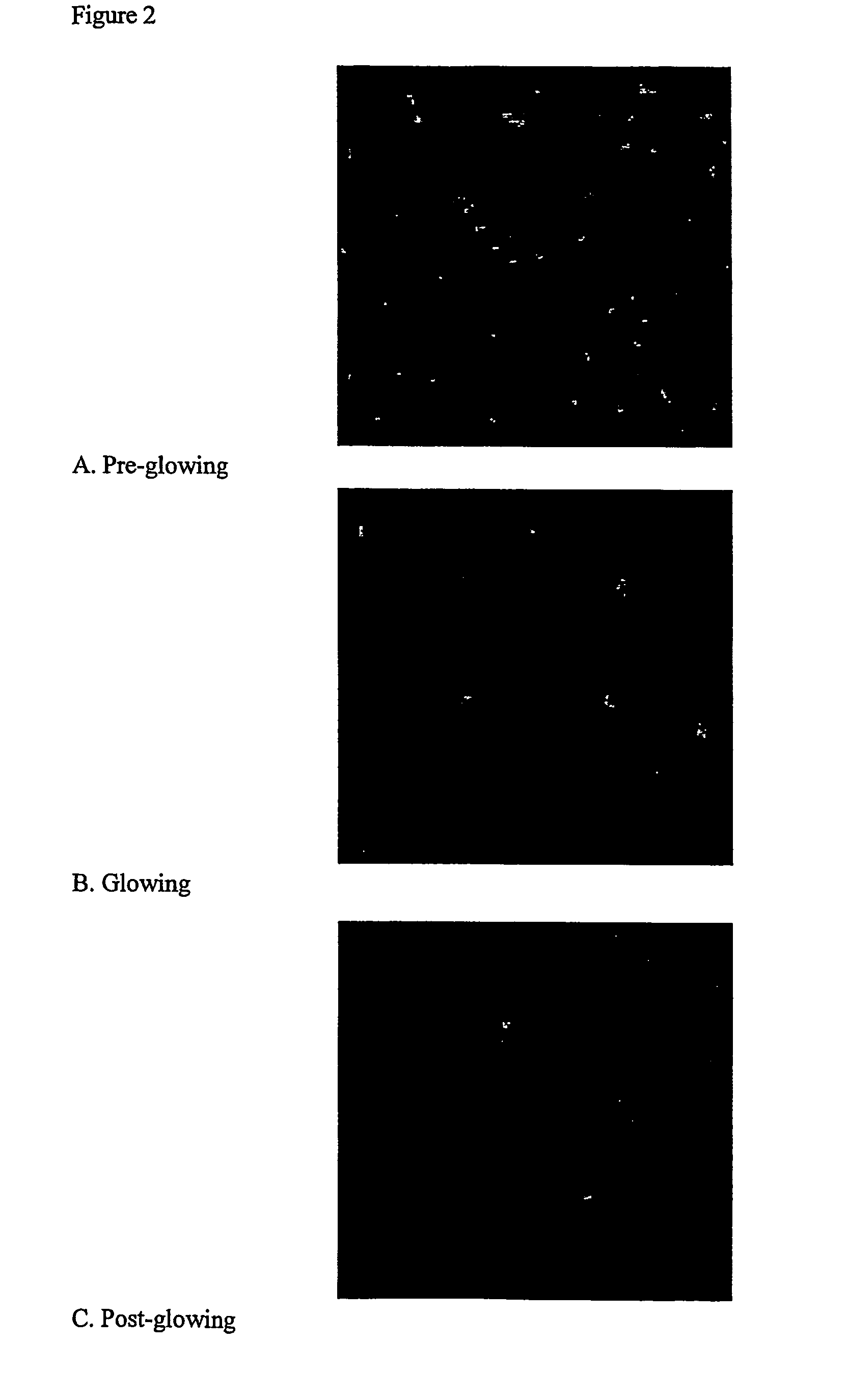 Proteins Involved In Quorum Sensing