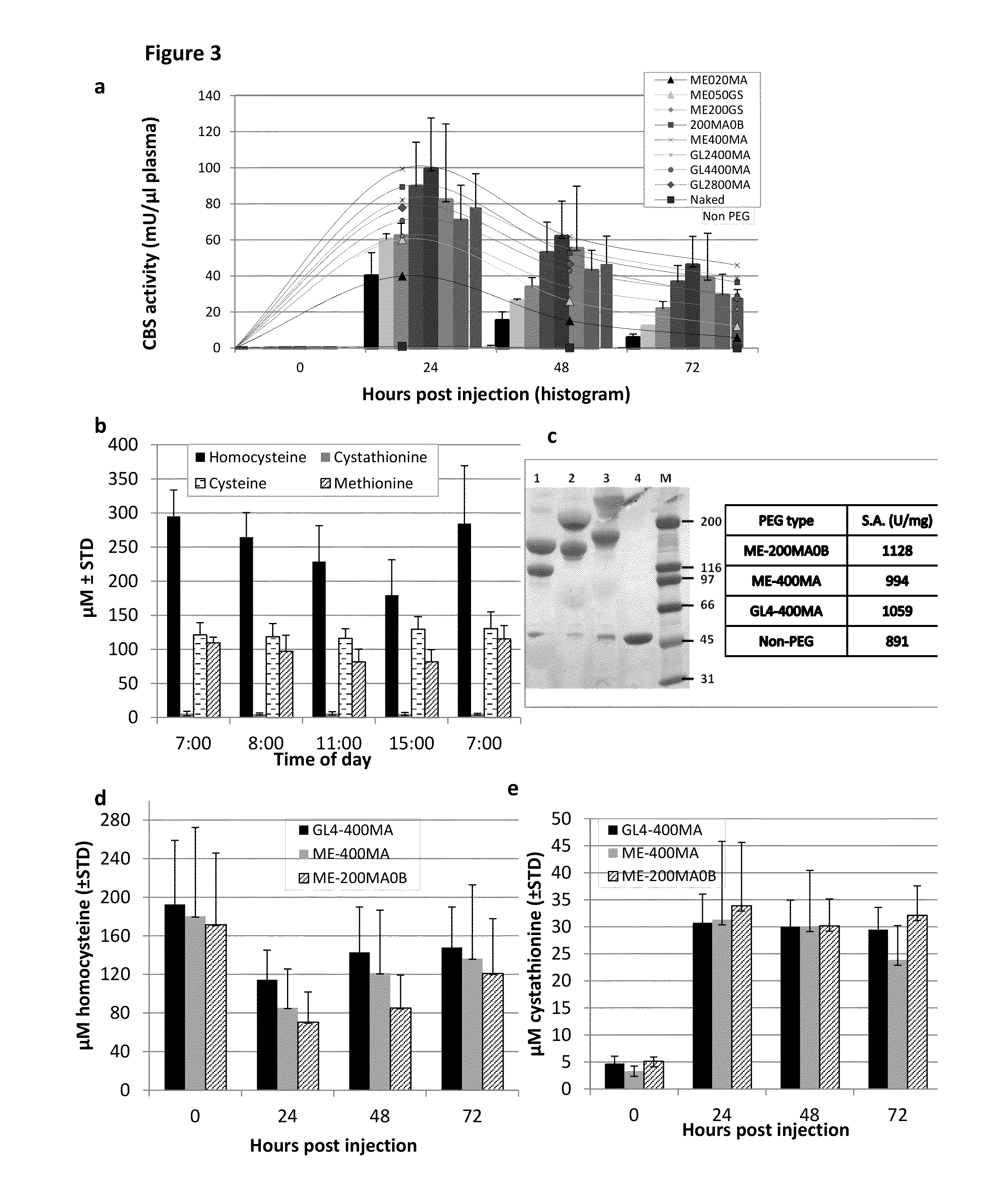 Chemically modified cystathionine beta-synthase enzyme for treatment of homocystinuria