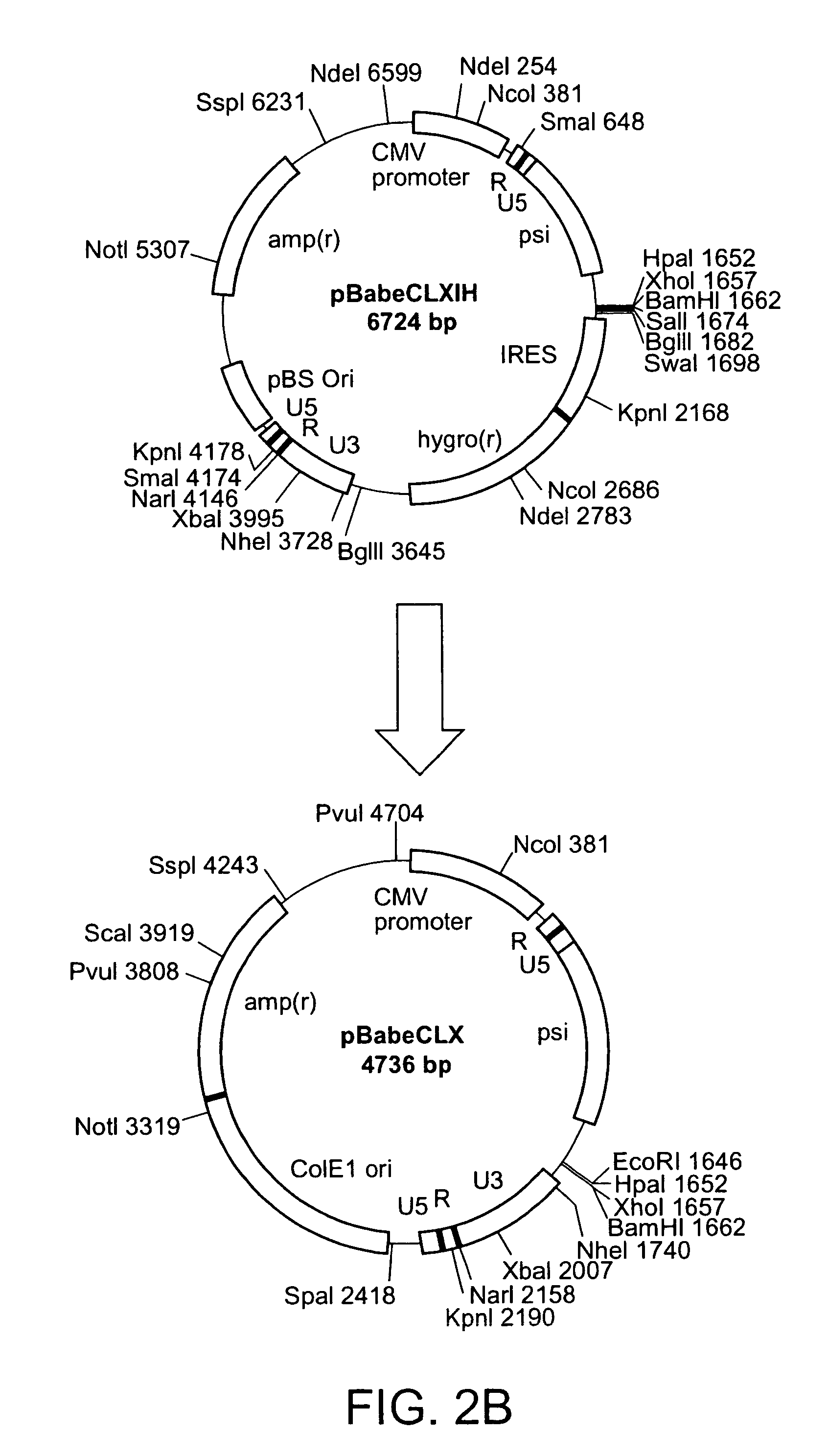 Screening method