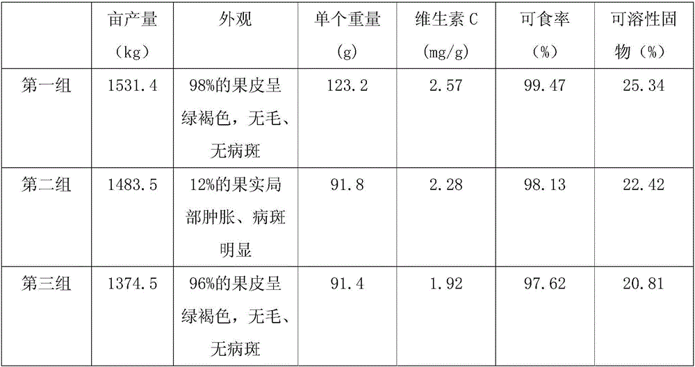 Method for planting Hongyang kiwis