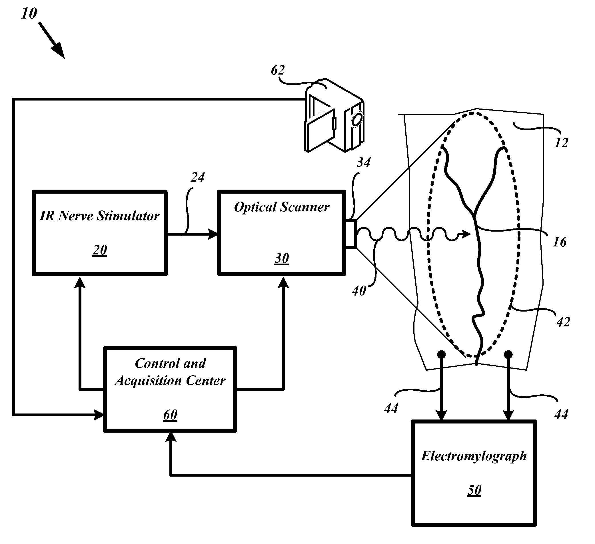 System and methods for nerve response mapping