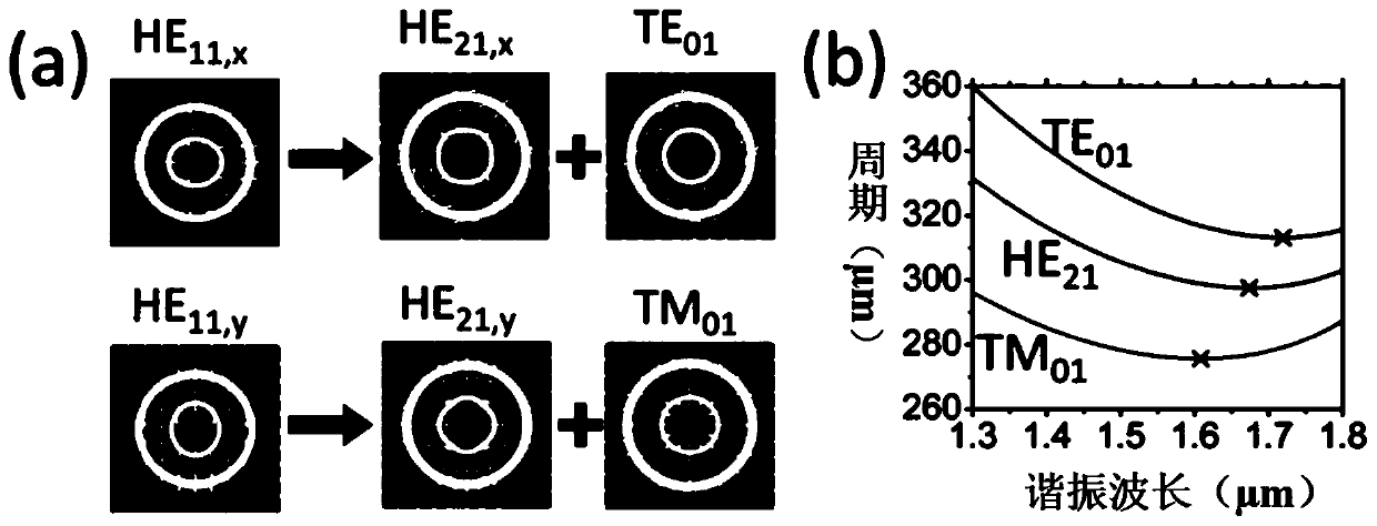 Ring Fiber with Asymmetric Grating and Its Application in Orbital Angular Momentum Generation