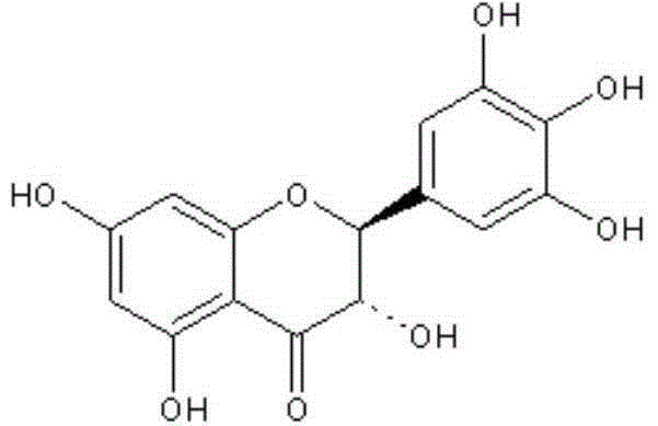 Method for increasing yield of dihydromyricetin in ampelopsis grossedentata