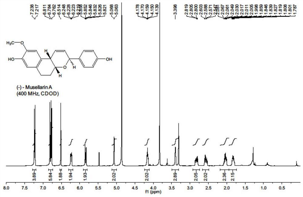 Antiviral drug Musellarin and analogue molecule, preparation method and application