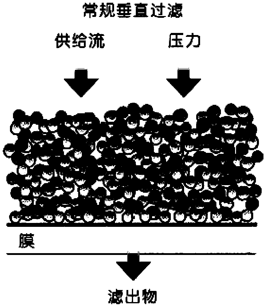 Preparation method of recombinant antimicrobial peptide extracted from small intestine of pig and application thereof