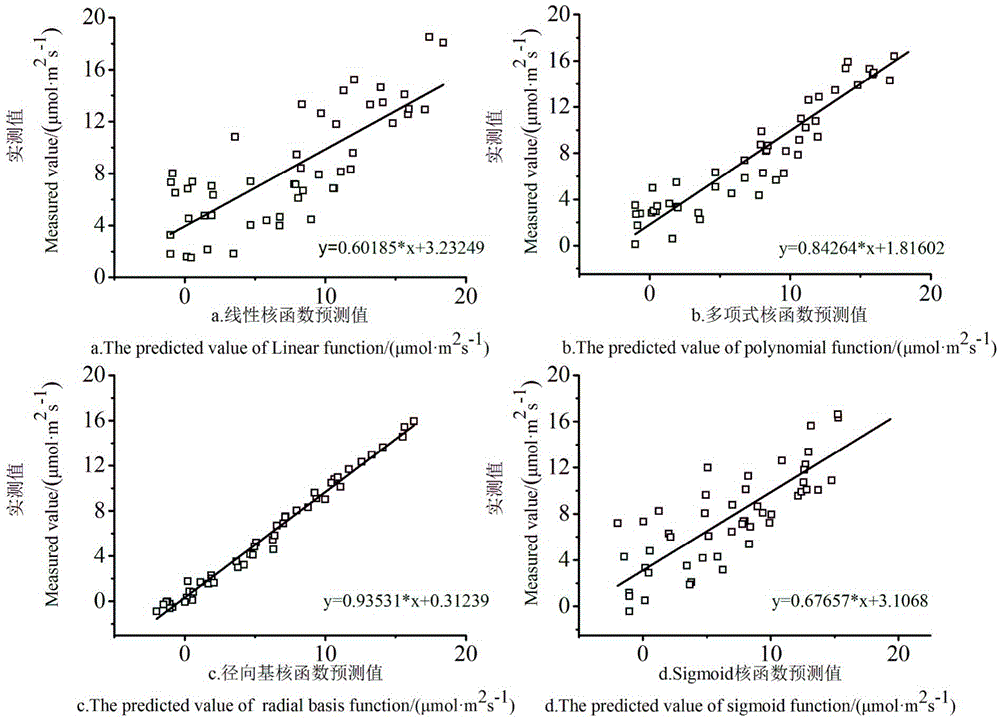 Cucumber whole-course photosynthetic rate predicting model based on support vector machine, and establishing method