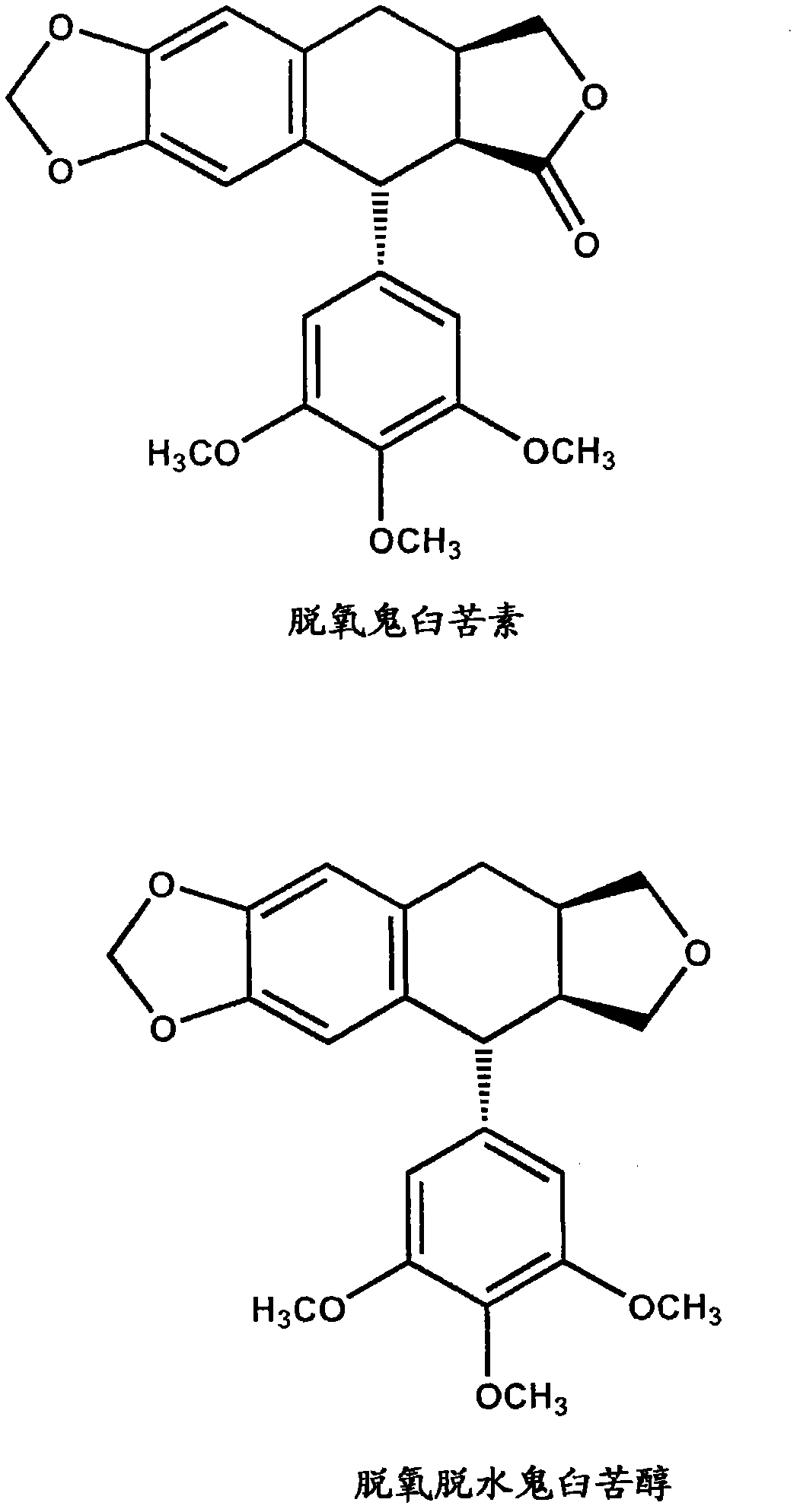 Use of cyclolignans for the treatment of a hyperactive immune system