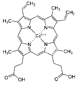 Application of porphyrin pigment serving as immunologic adjuvant and vaccine