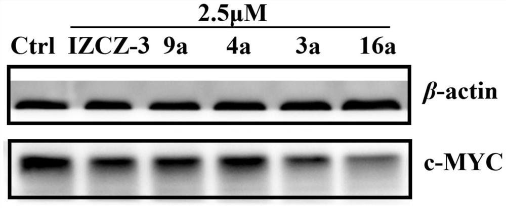 Polyaryl substituted imidazole derivative as well as preparation method and application thereof